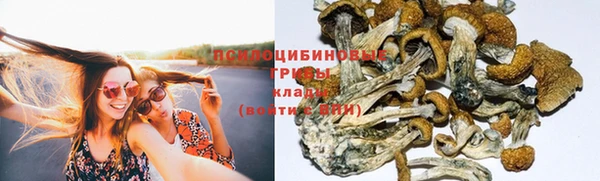 гашик Ладушкин