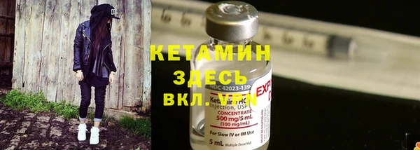 гашик Ладушкин