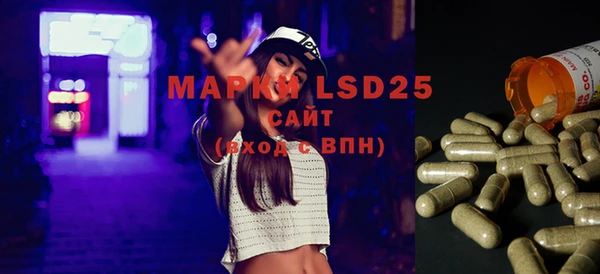 гашик Ладушкин