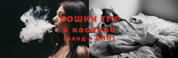 гашик Ладушкин