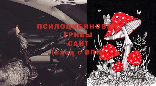 гашик Ладушкин