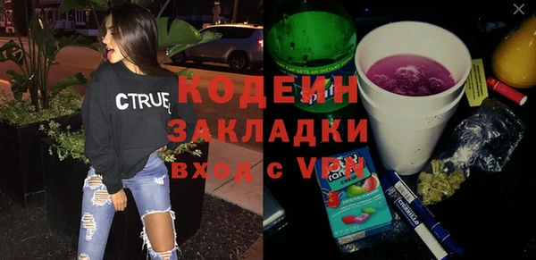 гашик Ладушкин